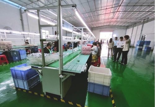 砥礪奮進啟新程，鄉村振興謀新篇——浛洸鎮張陂村玩具加工廠隆重開業